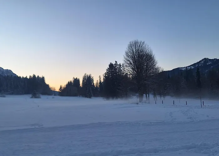 Doellerer アパート *